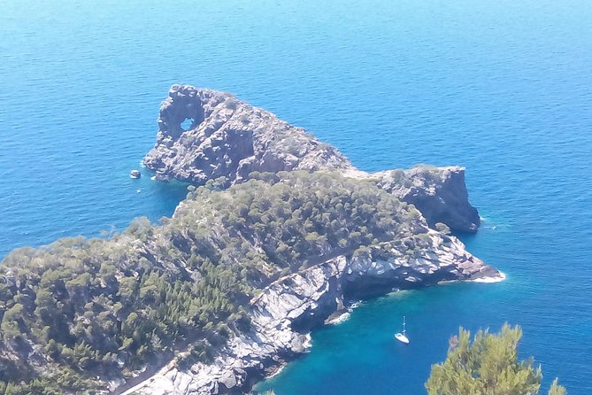 Private tour for my family from a cruise - Key Points at a Glance