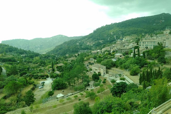 Private tour for my family from a cruise - A Good Shore Excursion for Seeing Two Sides of Mallorca
