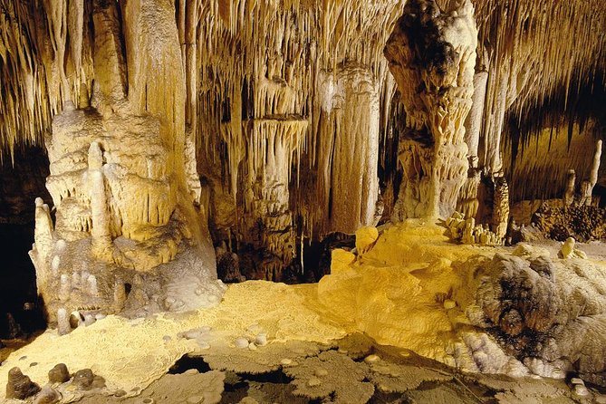 Private Tour: Mallorca Caves of Drach and Majorica Pearl Factory - The Lake Martel concert