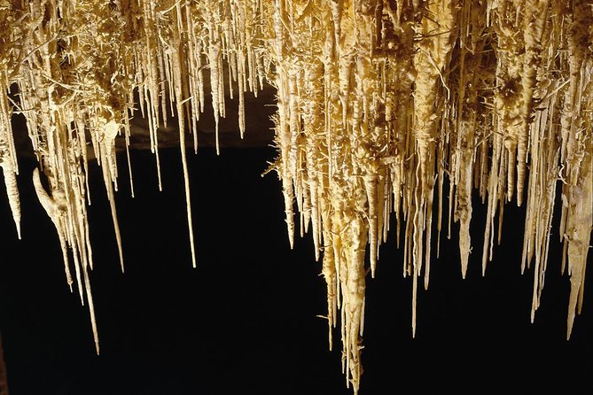 Private Tour: Mallorca Caves of Drach and Majorica Pearl Factory - Who will enjoy this Mallorca outing
