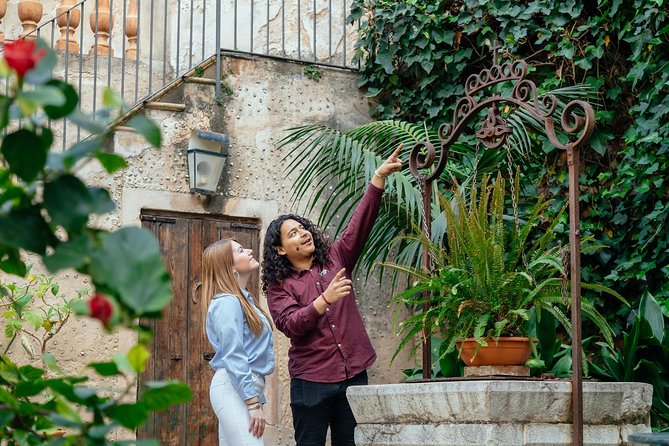 PRIVATE TOUR of Palma de Mallorca: Highlights & Hidden Gems - Plaça de Cort and the olive tree with a face