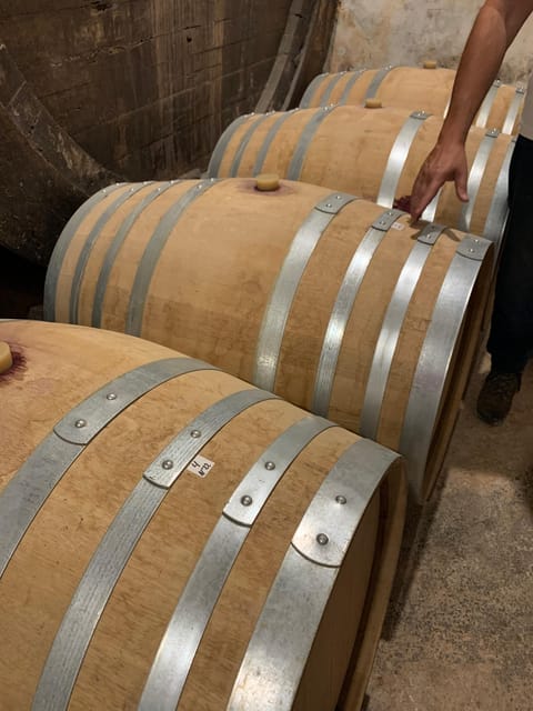 Private tour: Wine and tapas, experience real Mallorca - Meeting Daniela and getting the local story