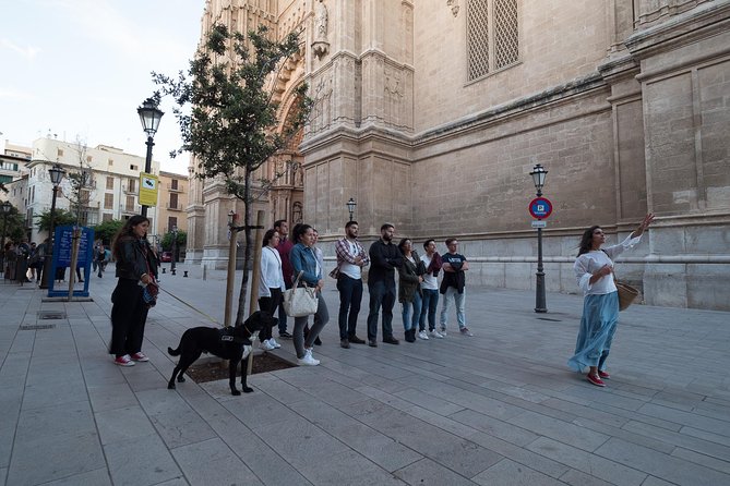 Private walking tour in Palma de Mallorca with local guides. - Courtyards and the Jewish quarter