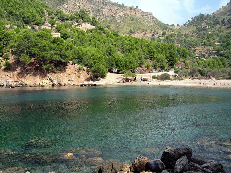 Puerto de Sóller: Cala Tuent Return Boat Trip - Who will enjoy this boat trip most?