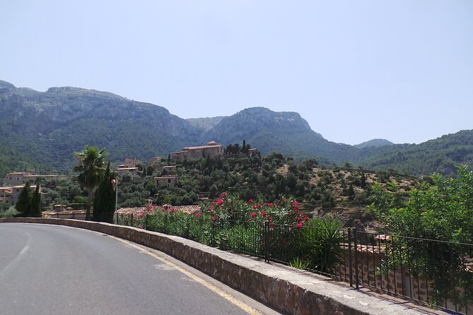 Quad tour from Paguera 3 hours - Starting from Paguera on the road to Es Capdella