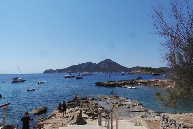 Quad tour from Paguera 3 hours - Port d’Andratx changes the mood