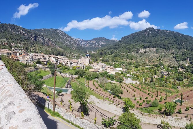 Quad tour from Paguera 3 hours - Camp de Mar completes the coastal loop
