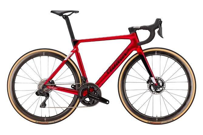 Rental bicycles - Key points to know before booking