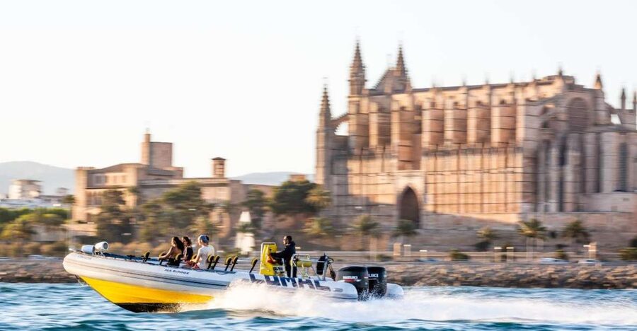 S'Arenal: Boat trip to Illetas with views of Palma - Swimming and snorkeling near Cala Illetas