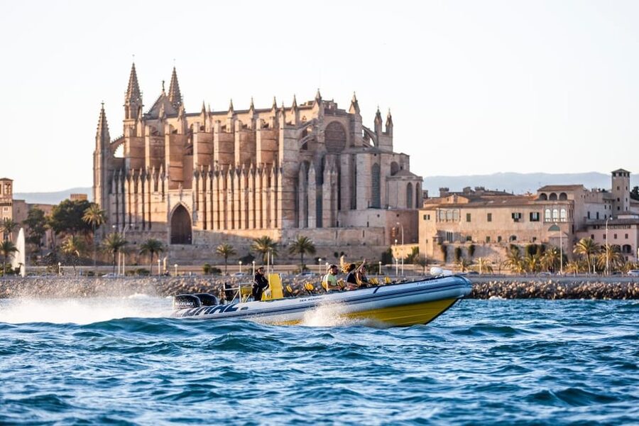 S'Arenal: Boat trip to Illetas with views of Palma - Meeting point and practical planning