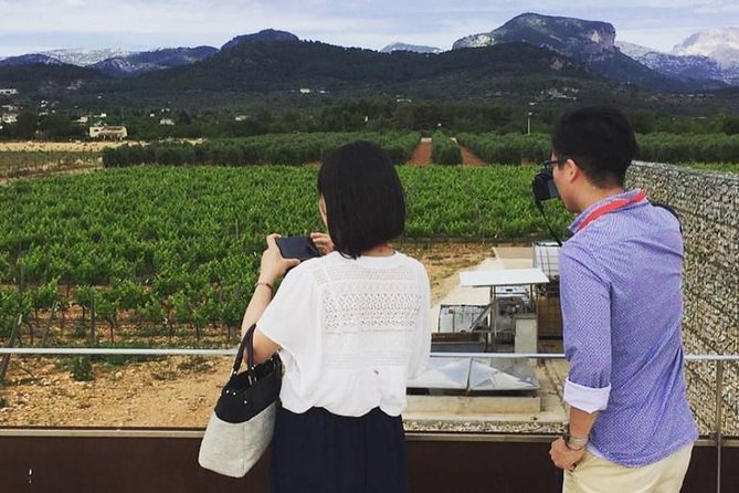 Sa Clasta Mallorca Wine Tours - The second stop adds contrast, but preferences vary