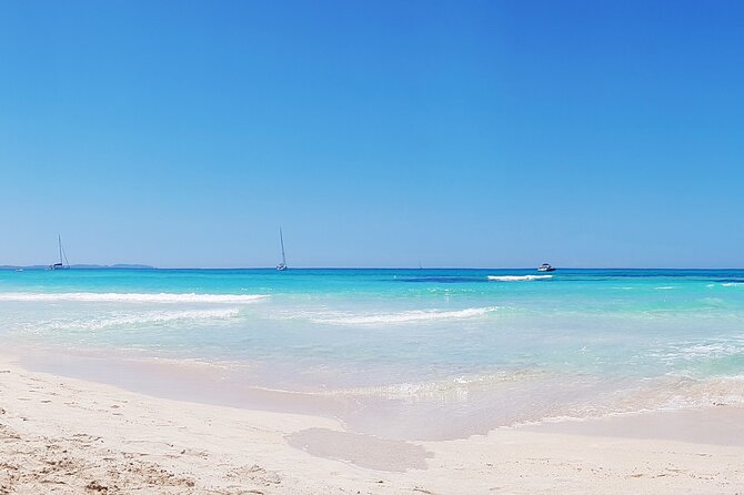 Salobrar Natural Park - Es Trenc Beach - Key points at a glance