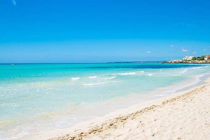 Salobrar Natural Park - Es Trenc Beach - Why Es Trenc is worth the day trip from Palma