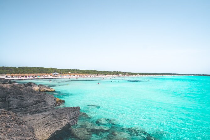 Salobrar Natural Park - Es Trenc Beach - How much free time will you have?