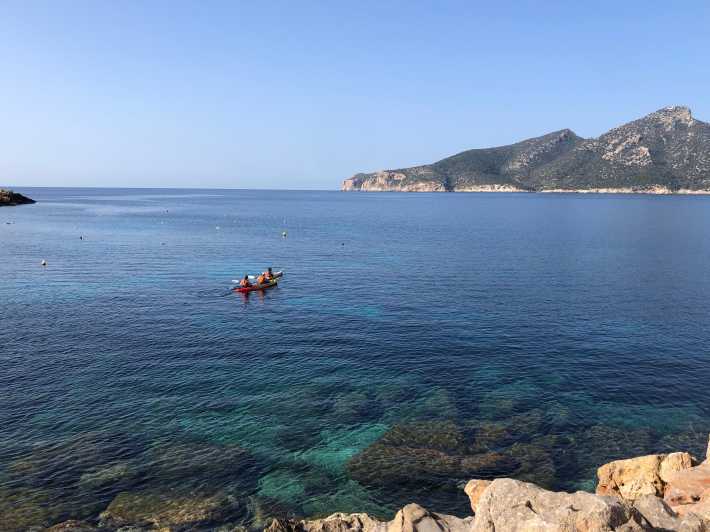 Sant Elm: Guided kayak tour to the Island Dragonera & Hiking - Key points at a glance