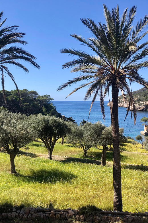 Sant Elm: Guided kayak tour to the Island Dragonera & Hiking - The 30-minute paddle from Sant Elm