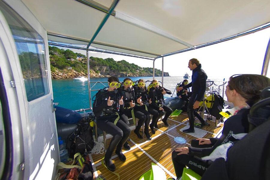 Santa Ponsa: Try Scuba Diving in a Marine Reserve - Timing, breaks, and transport