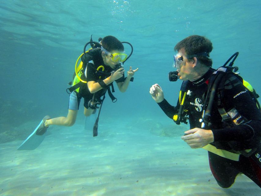 Santa Ponsa: Try Scuba Diving in a Marine Reserve - Is the $130 price good value?