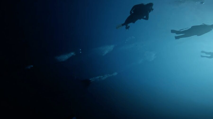Scuba Diving - Dive for certified divers - Key points to know before booking