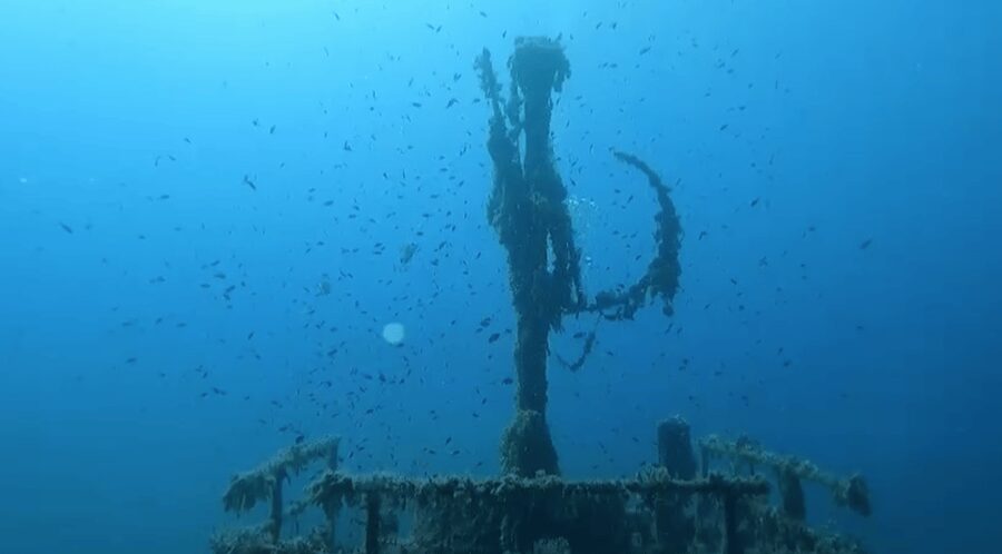 Scuba Diving - Dive for certified divers - Getting fitted with the full scuba kit