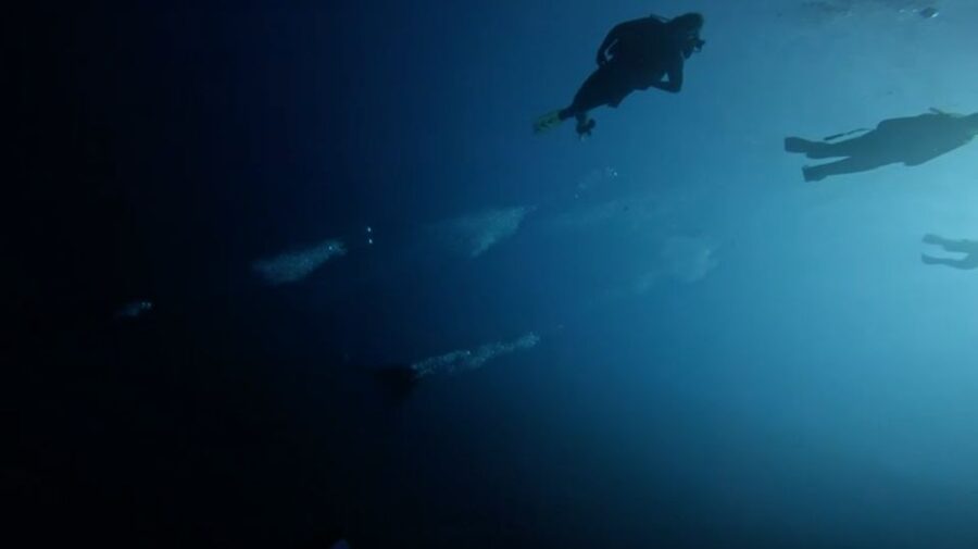 Scuba Diving - Dive for certified divers - What the underwater session offers