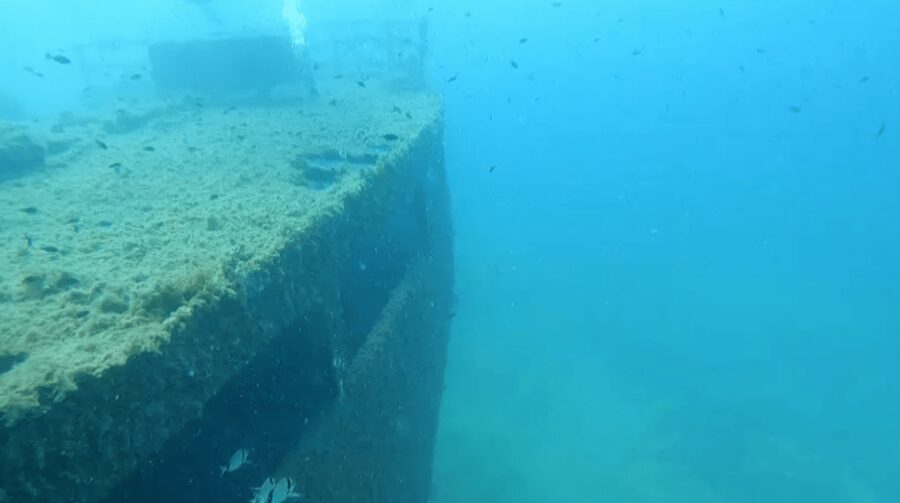 Scuba Diving - Dive for certified divers - Hotel pickup makes the morning easier