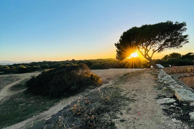 Self-guided Walking Tour and Outdoor Escape Game in Cala Millor, in German - How the 15-stop route works
