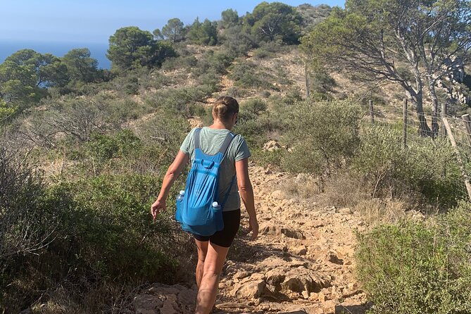 Sierra de Tramuntana hike with small picnic - Timing the experience around your Palma plans