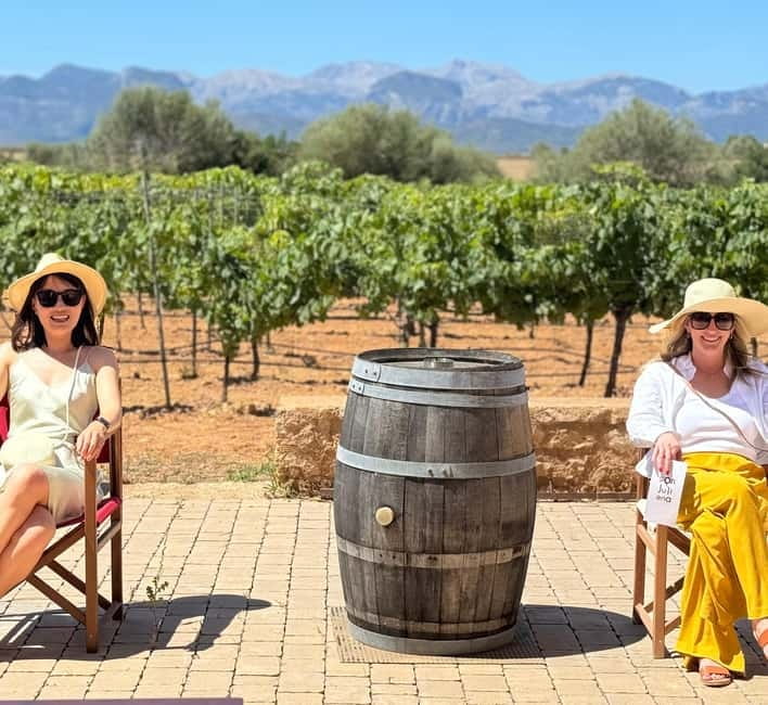 Small group- Exclusive Olive Oil & Wine Tour Mallorca - From your hotel to Mallorca’s olive country