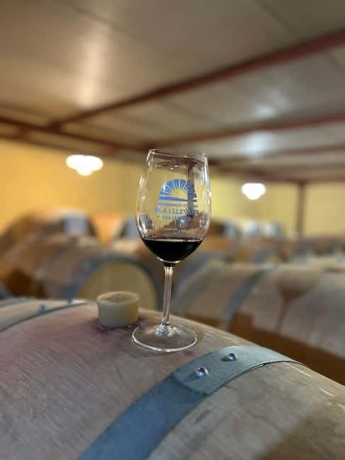 Small group- Exclusive Olive Oil & Wine Tour Mallorca - Timing, comfort, and practical planning