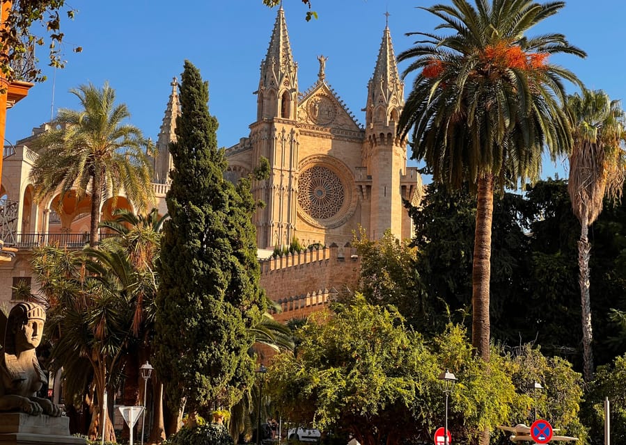 Small group- Exclusive Olive Oil & Wine Tour Mallorca - Who will enjoy this Mallorca food tour?
