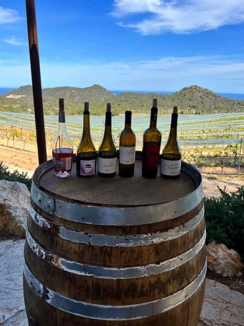Small group- Exclusive Olive Oil & Wine Tour Mallorca - Should you book the olive oil and wine tour?