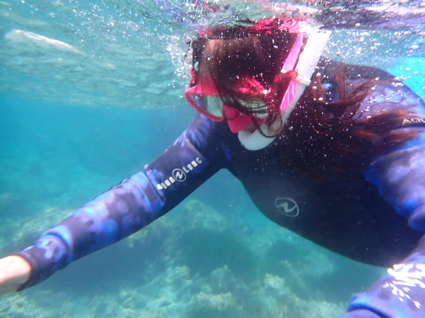 Snorkeling guided tours for tha all family! - Why this Mallorca snorkeling trip works for families
