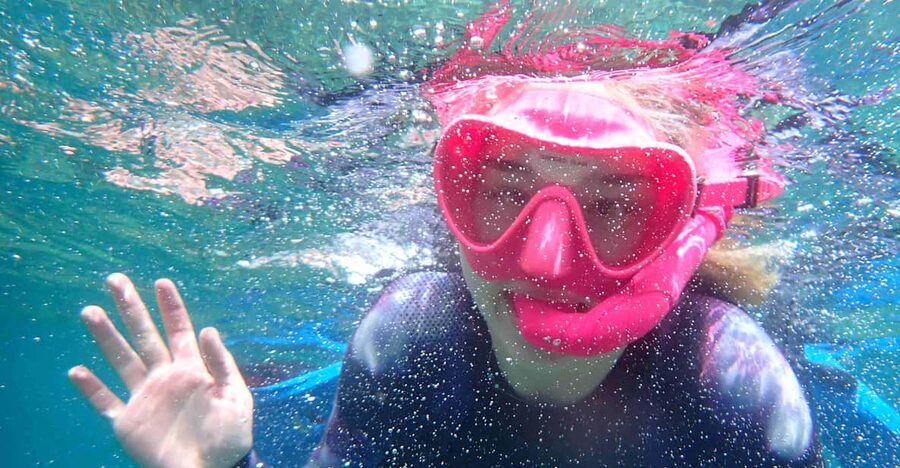 Snorkeling guided tours for tha all family! - Fifty minutes watching Mallorca’s sea life