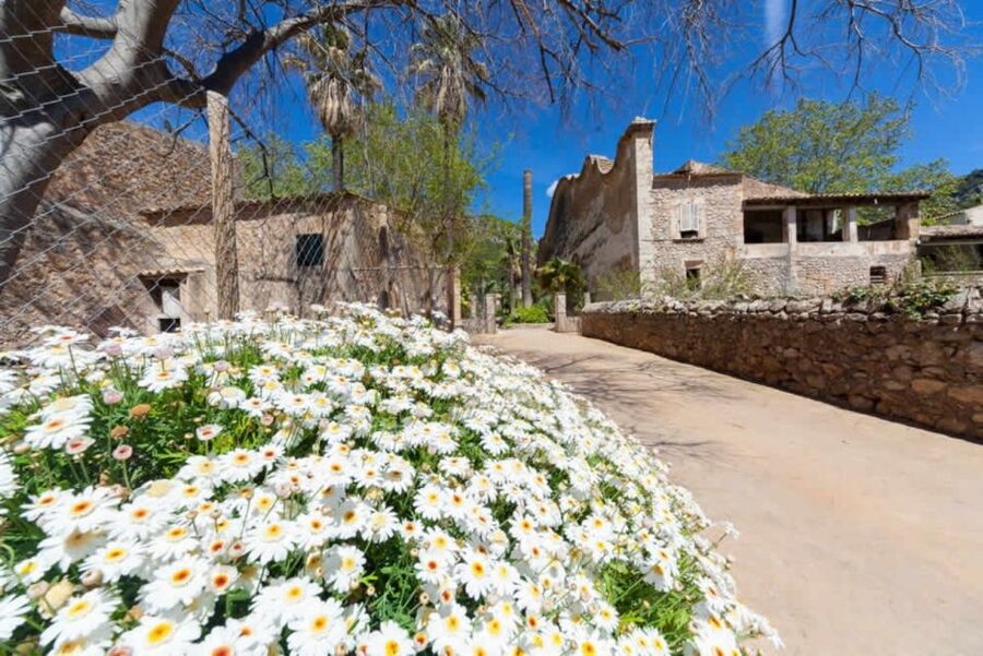 Sóller: Jardines de Alfabia Entrance Ticket - When the Season Changes the Experience