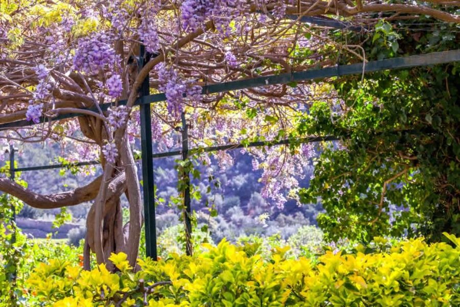 Sóller: Jardines de Alfabia Entrance Ticket - Practical Tips for a Better Visit