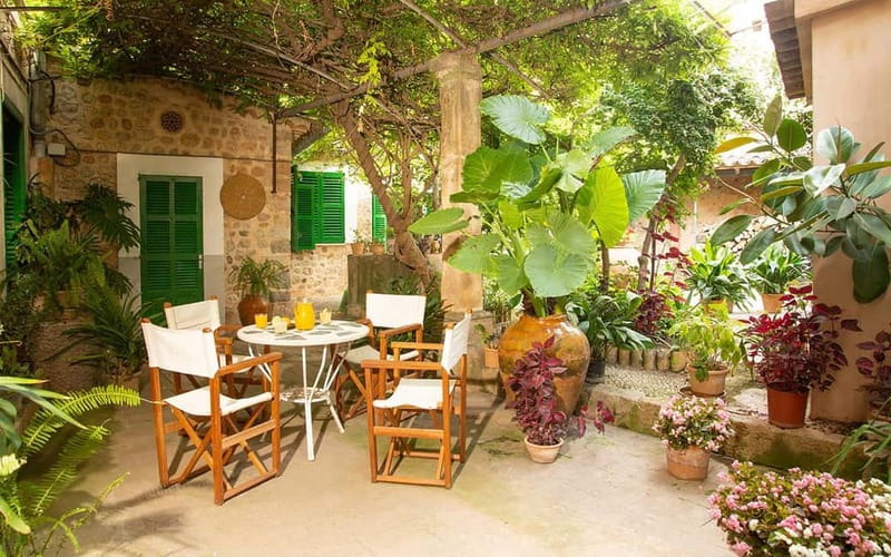 Sóller: Olive Oil Guided Tour and Tasting at Can Det Estate - Ancient olive trees and the family story