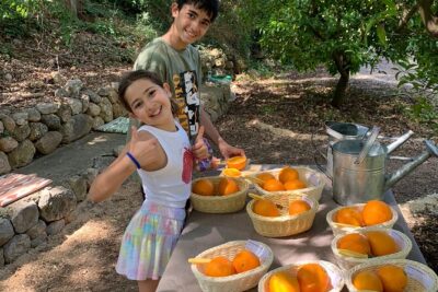 Soller Valley Private Tour and Walking in Orange Paradise