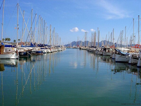 Sunrise Boat Trip in Mallorca with Dolphin-Watching - Key points to know before booking