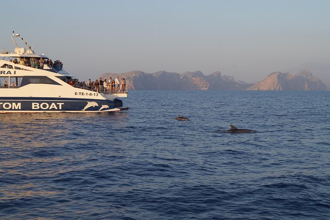 Sunrise Boat Trip in Mallorca with Dolphin-Watching - Breakfast on the return to port