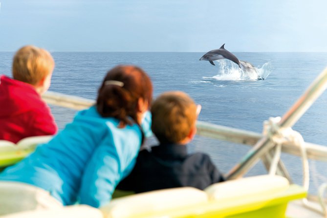 Sunrise Boat Trip in Mallorca with Dolphin-Watching - Watching Mallorca’s northern coast change color