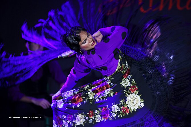Tablao Flamenco Alma - Live Flamenco Show - What happens inside Tablao Flamenco Alma