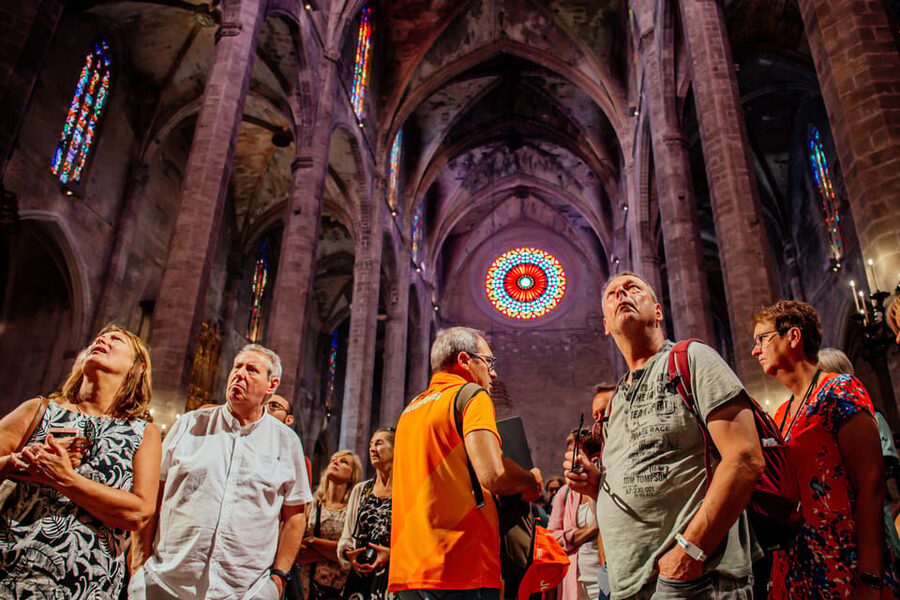 The Best of Palma: Boat trip, Walking tour and Cathedral - Who will like this Palma combination tour
