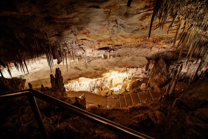 The Ultimate Bellver Castle Private Day Trip - Marivent Gardens bring in royal Mallorca