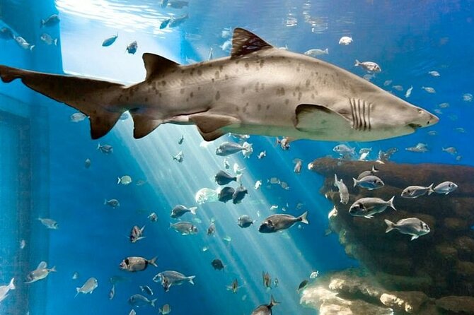 Ticket Palma Aquarium - Eight habitats, from the Mediterranean to the Medusarium