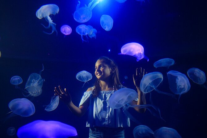 Ticket Palma Aquarium - Getting there from Palma and El Arenal