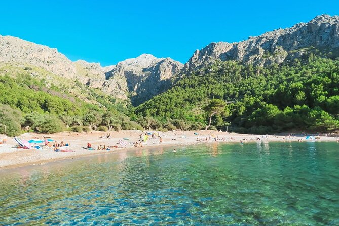 Tour Sa Calobra, Torrent de Pareis y Cala Tuent - A scenic road is part of the attraction