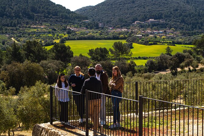 Tour to olive grove and olive mill, oil tasting and snack - Learning what extra virgin really means