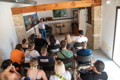 Tour to olive grove and olive mill, oil tasting and snack