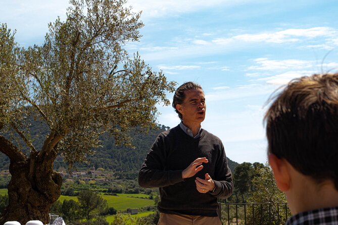 Tour to olive grove and olive mill, oil tasting and snack - Who will enjoy this olive grove visit